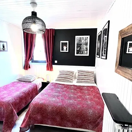 Apartment Charmant, 1 Chambre, Parking Prive, Wifi - - Fr-1-671-144
